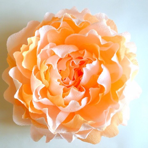 Бумажный цветок "Пион персик"